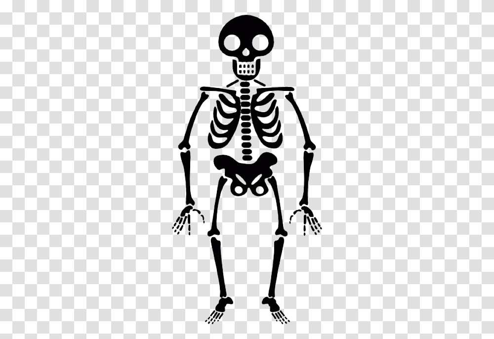 Skeleton, Person, Bow, Drawing Transparent Png