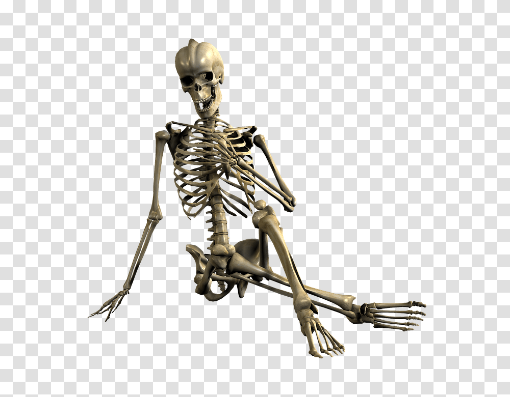 Skeleton, Person, Bow, Human Transparent Png