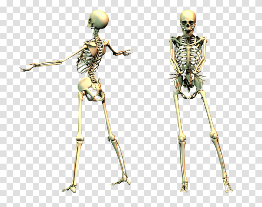 Skeleton, Person, Bow, Human Transparent Png