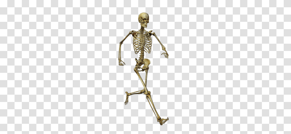 Skeleton, Person, Bow, Human Transparent Png