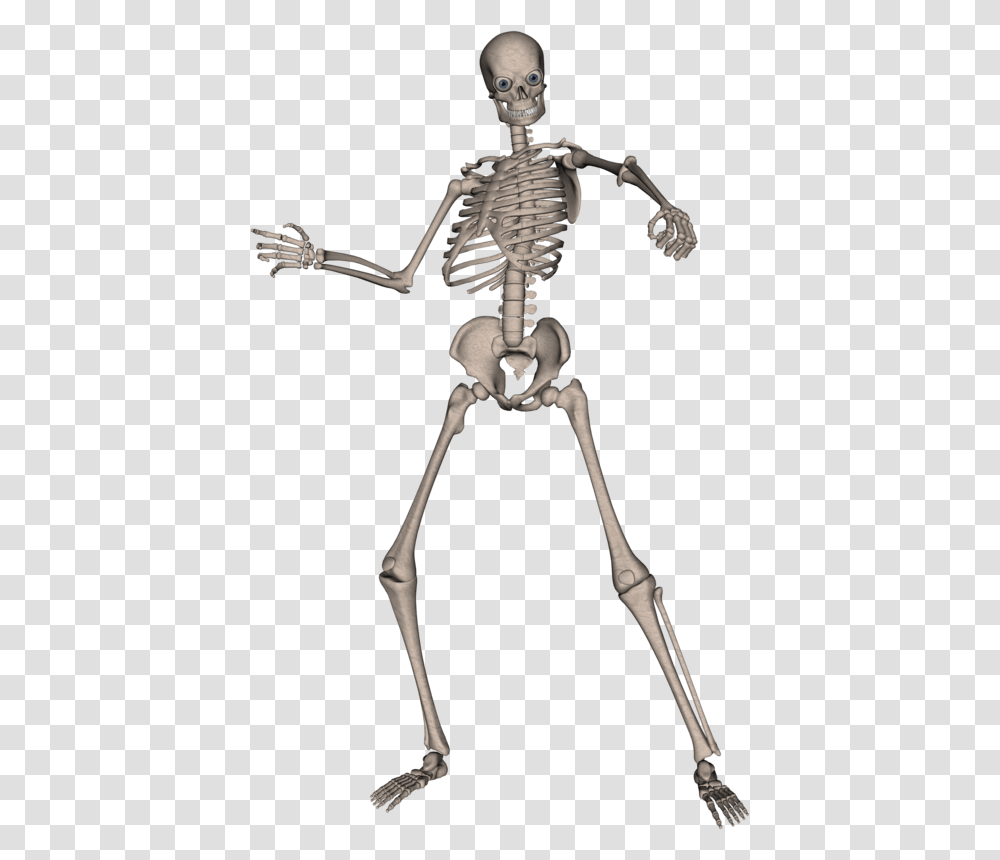 Skeleton, Person, Bow, Human Transparent Png