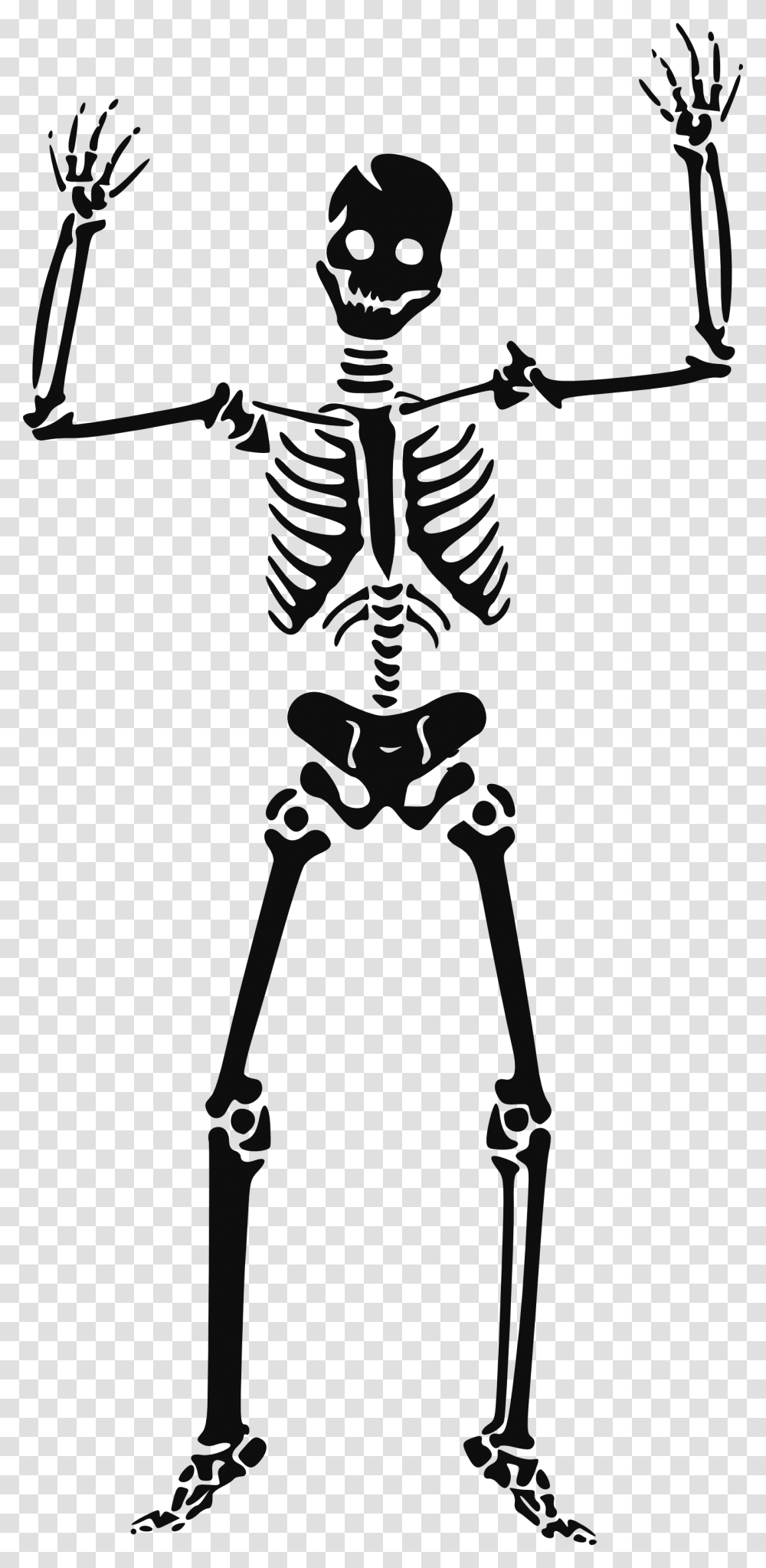 Skeleton, Person, Bow Transparent Png