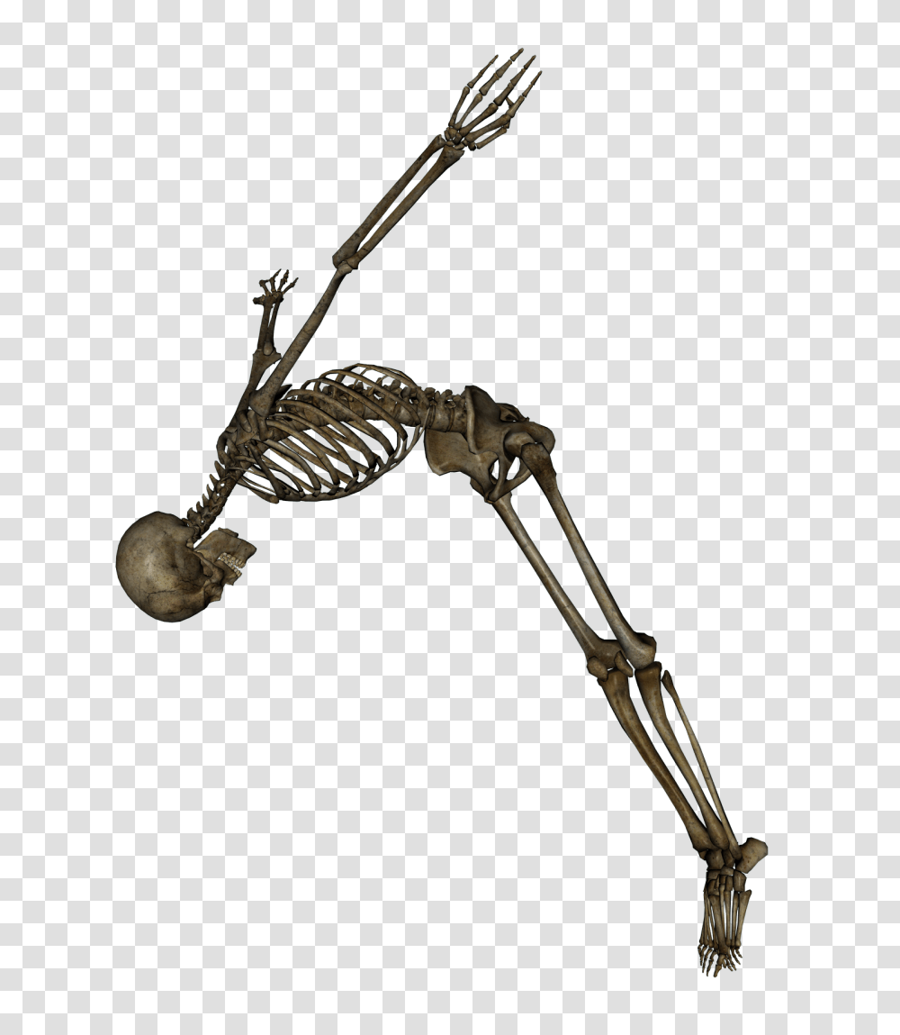 Skeleton, Person, Construction Crane, Animal Transparent Png