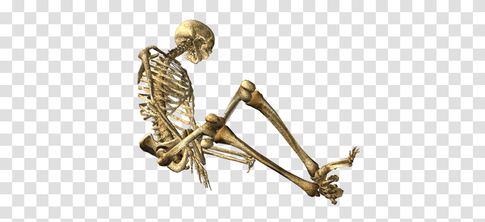 Skeleton, Person, Fossil Transparent Png