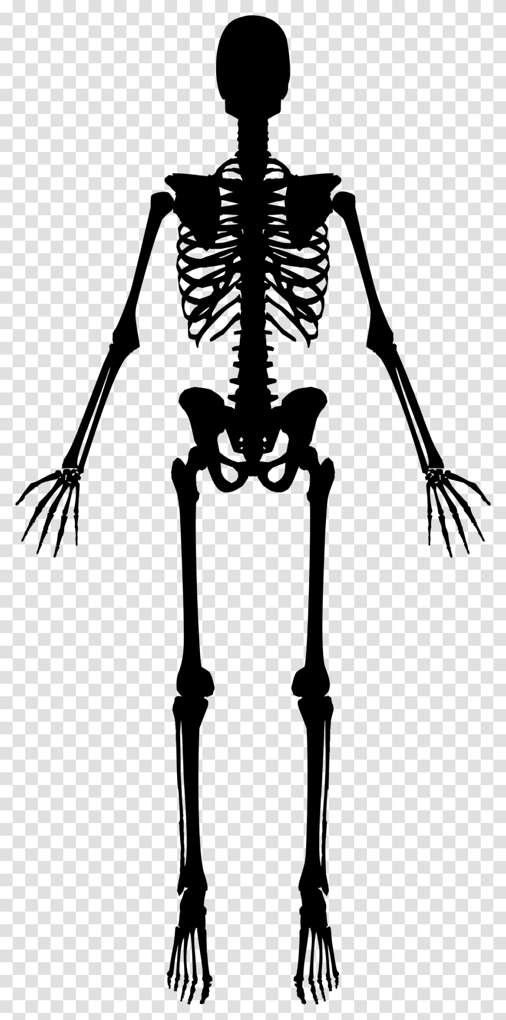 Skeleton, Person, Gray, World Of Warcraft Transparent Png