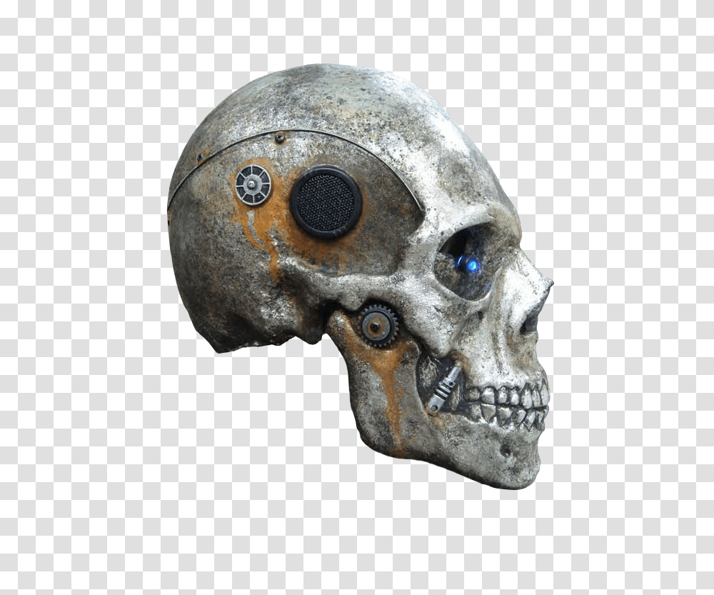 Skeleton, Person, Head, Helmet Transparent Png