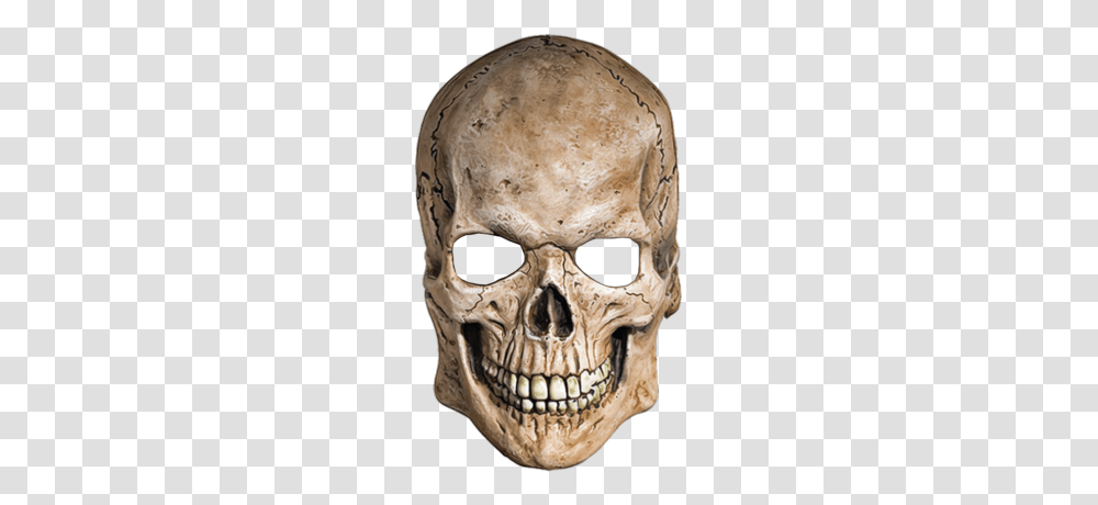 Skeleton, Person, Head, Jaw, Fungus Transparent Png