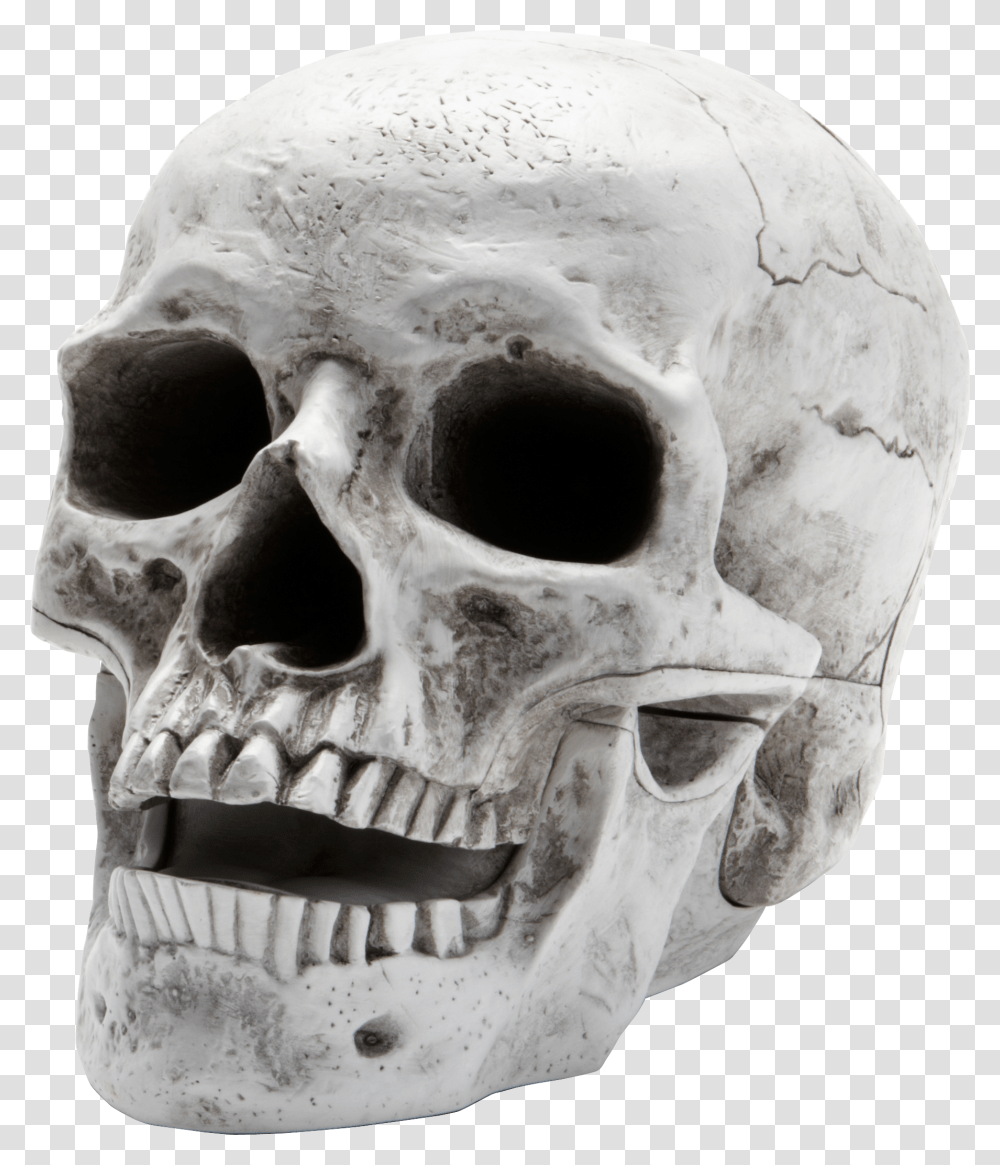 Skeleton, Person, Head, Jaw, Helmet Transparent Png