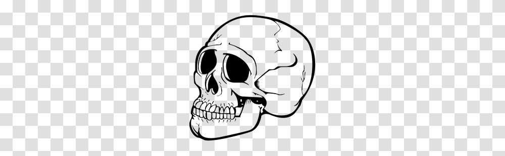 Skeleton, Person, Head, Jaw, Teeth Transparent Png