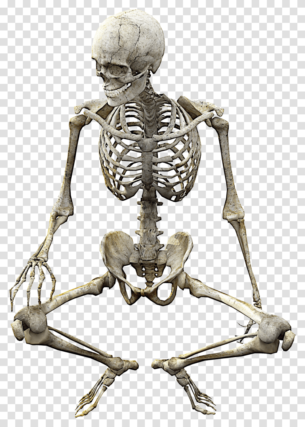 Skeleton, Person, Helmet, Apparel Transparent Png