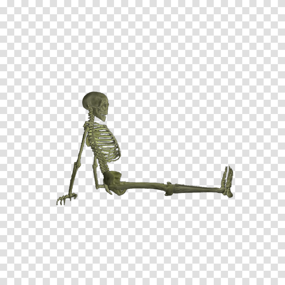 Skeleton, Person, Human, Bow Transparent Png