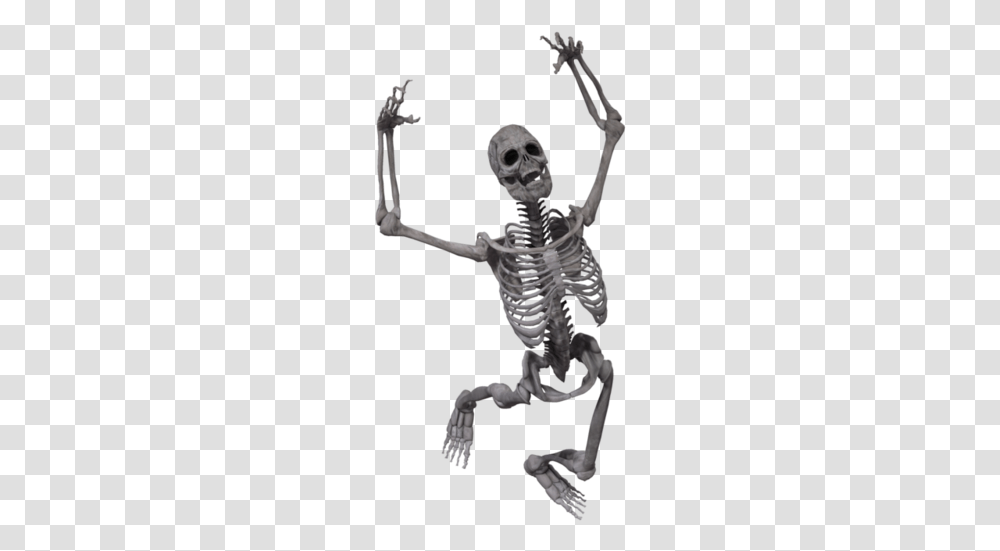 Skeleton, Person, Human Transparent Png