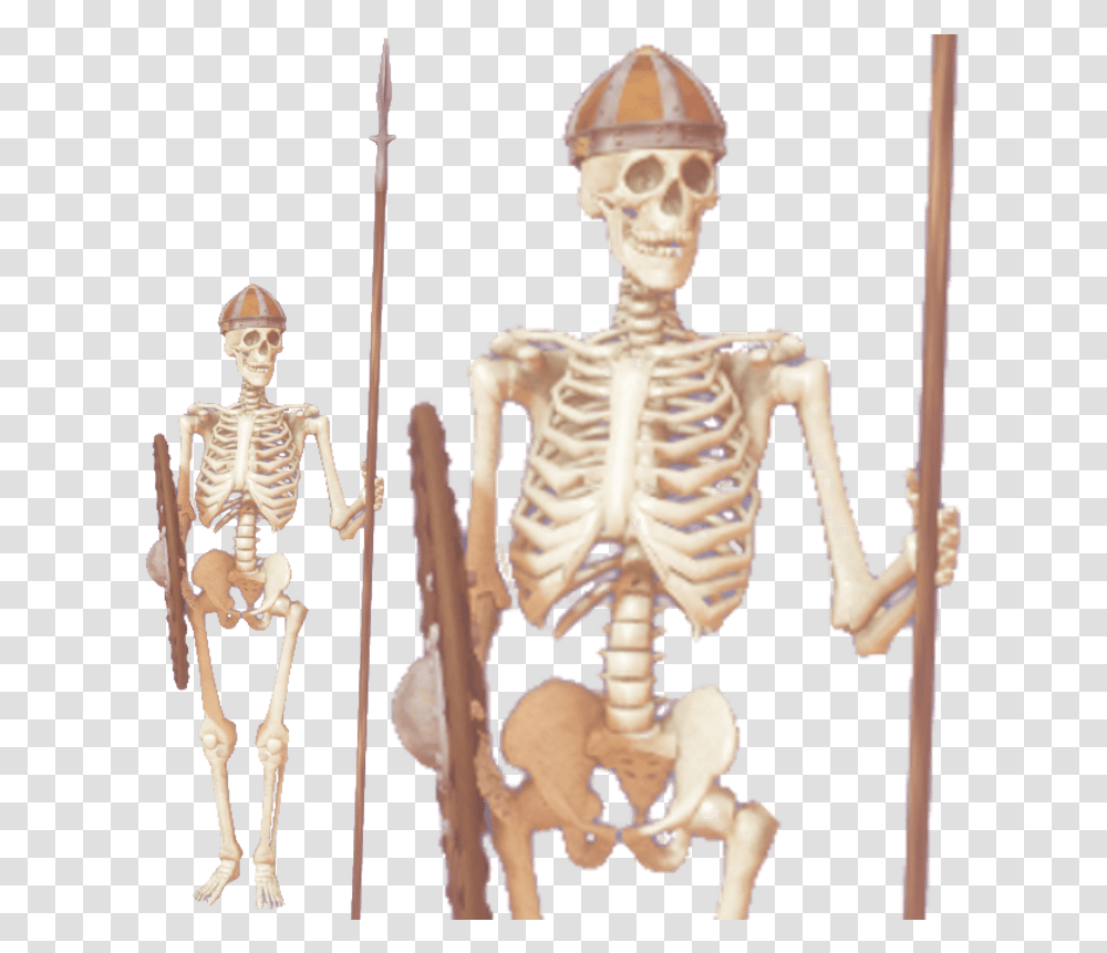 Skeleton, Person, Human Transparent Png