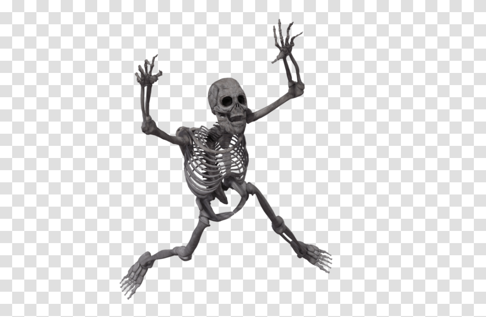 Skeleton, Person, Human Transparent Png