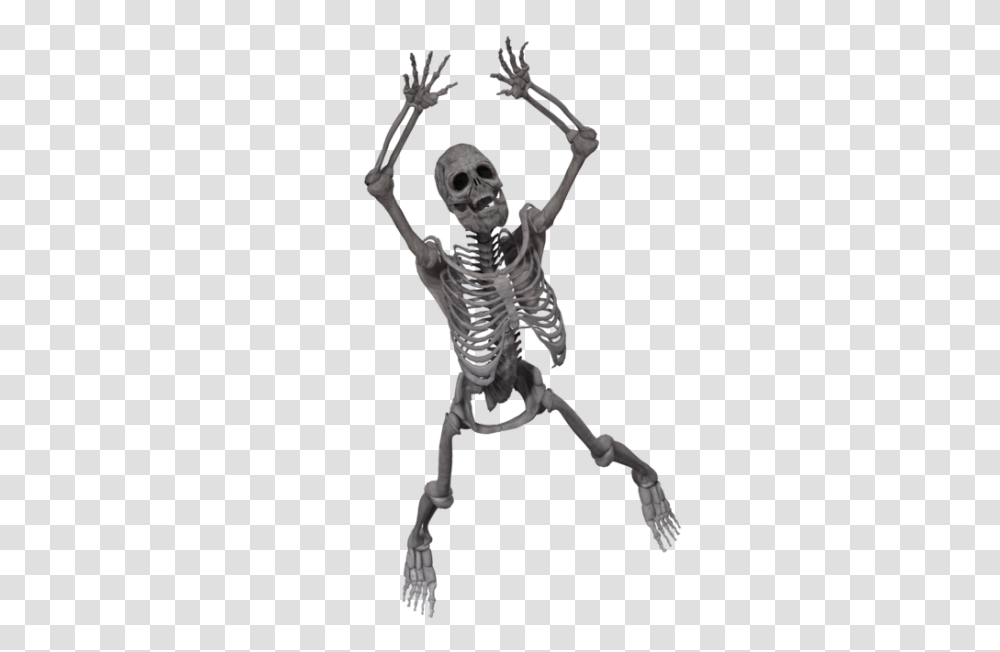 Skeleton, Person, Human Transparent Png