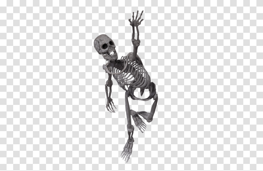 Skeleton, Person, Human Transparent Png