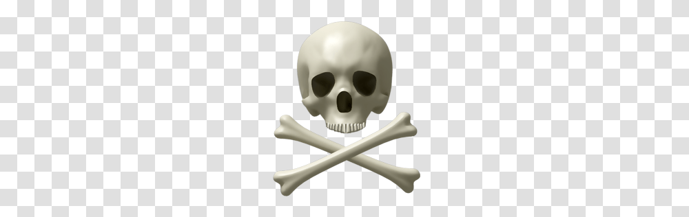 Skeleton, Person, Jaw, Head, Wand Transparent Png