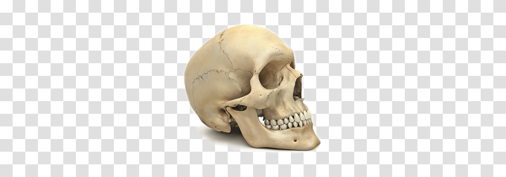 Skeleton, Person, Jaw, Helmet Transparent Png