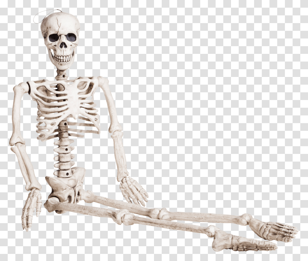 Skeleton, Person, Sunglasses, Accessories, Accessory Transparent Png
