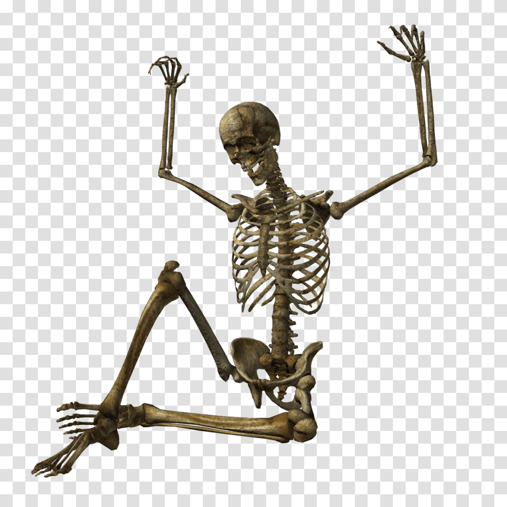 Skeleton, Person Transparent Png