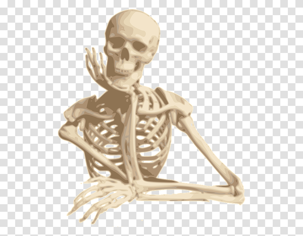 Skeleton, Person Transparent Png