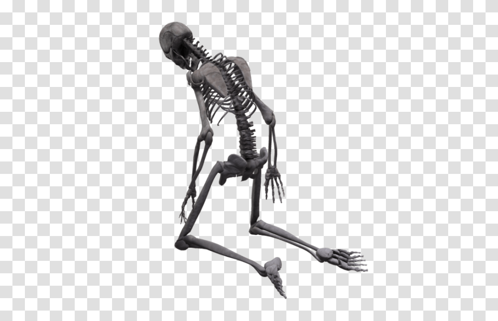 Skeleton, Person Transparent Png