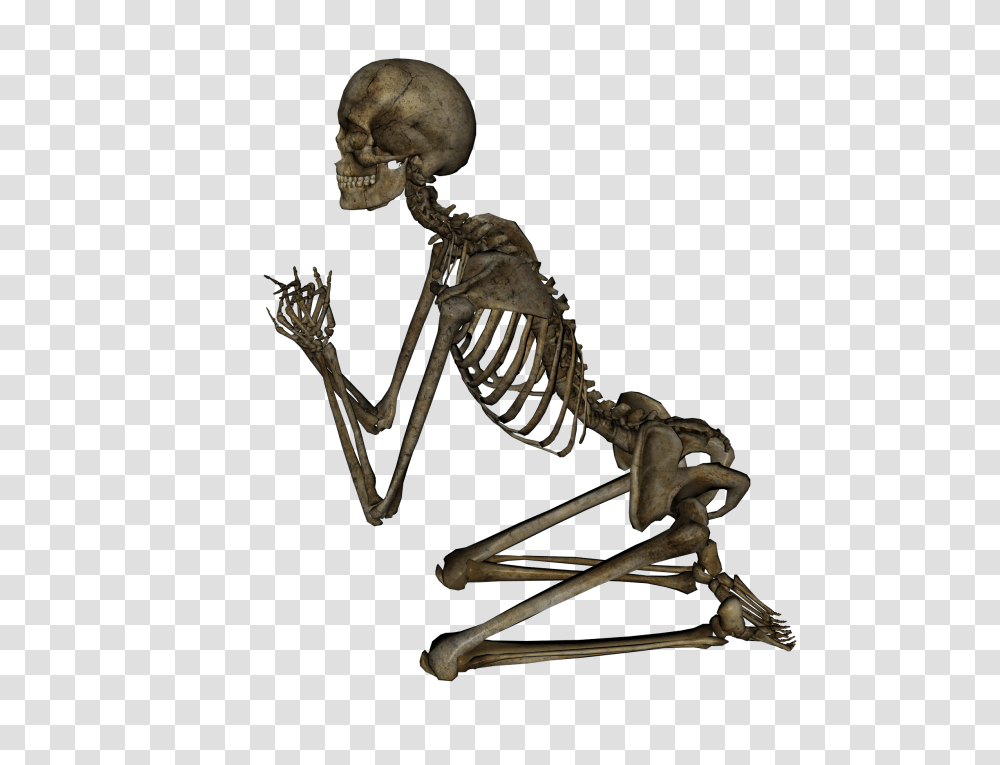 Skeleton, Person Transparent Png