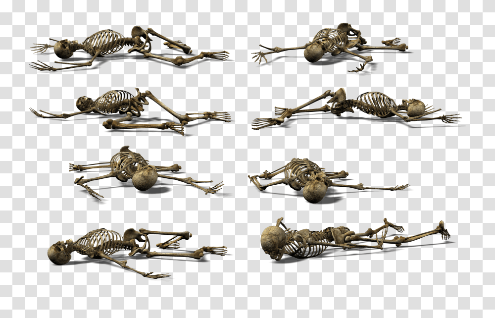 Skeleton, Person, Wand, Weapon, Weaponry Transparent Png