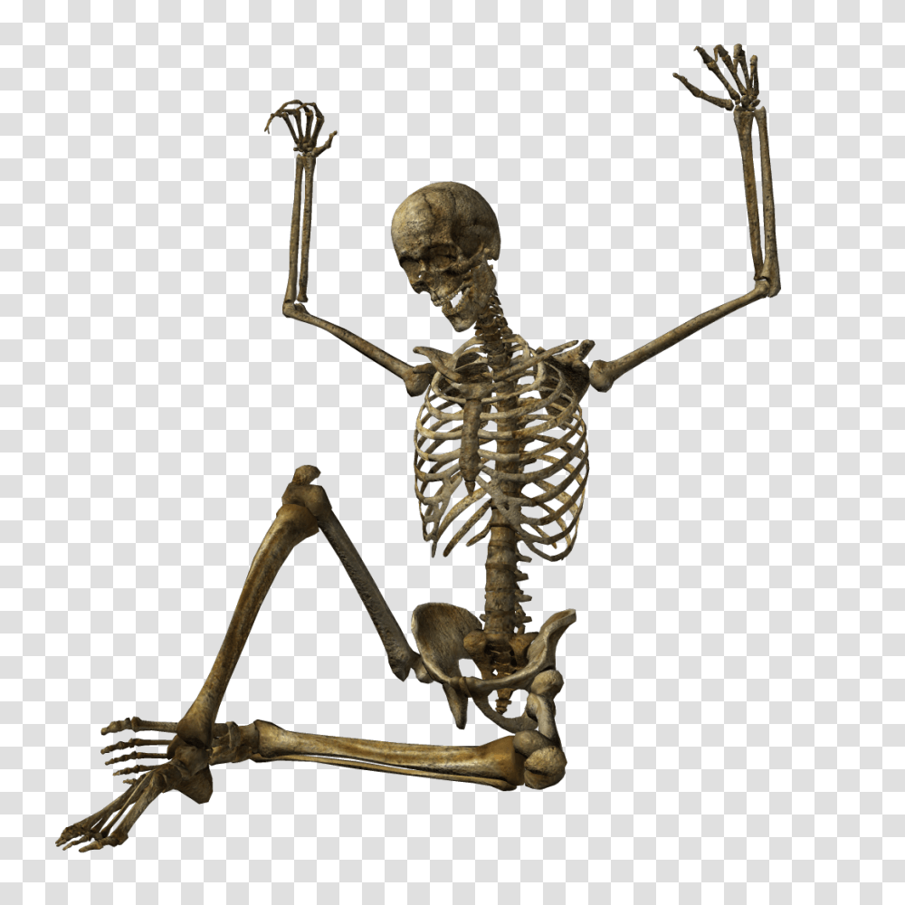 Skeleton Pictures, Bow Transparent Png