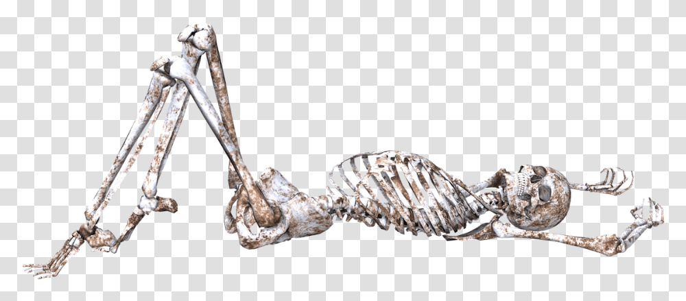 Skeleton Pose Skull Bones 3d Lying Down Skeleton Laying Down Transparent Png
