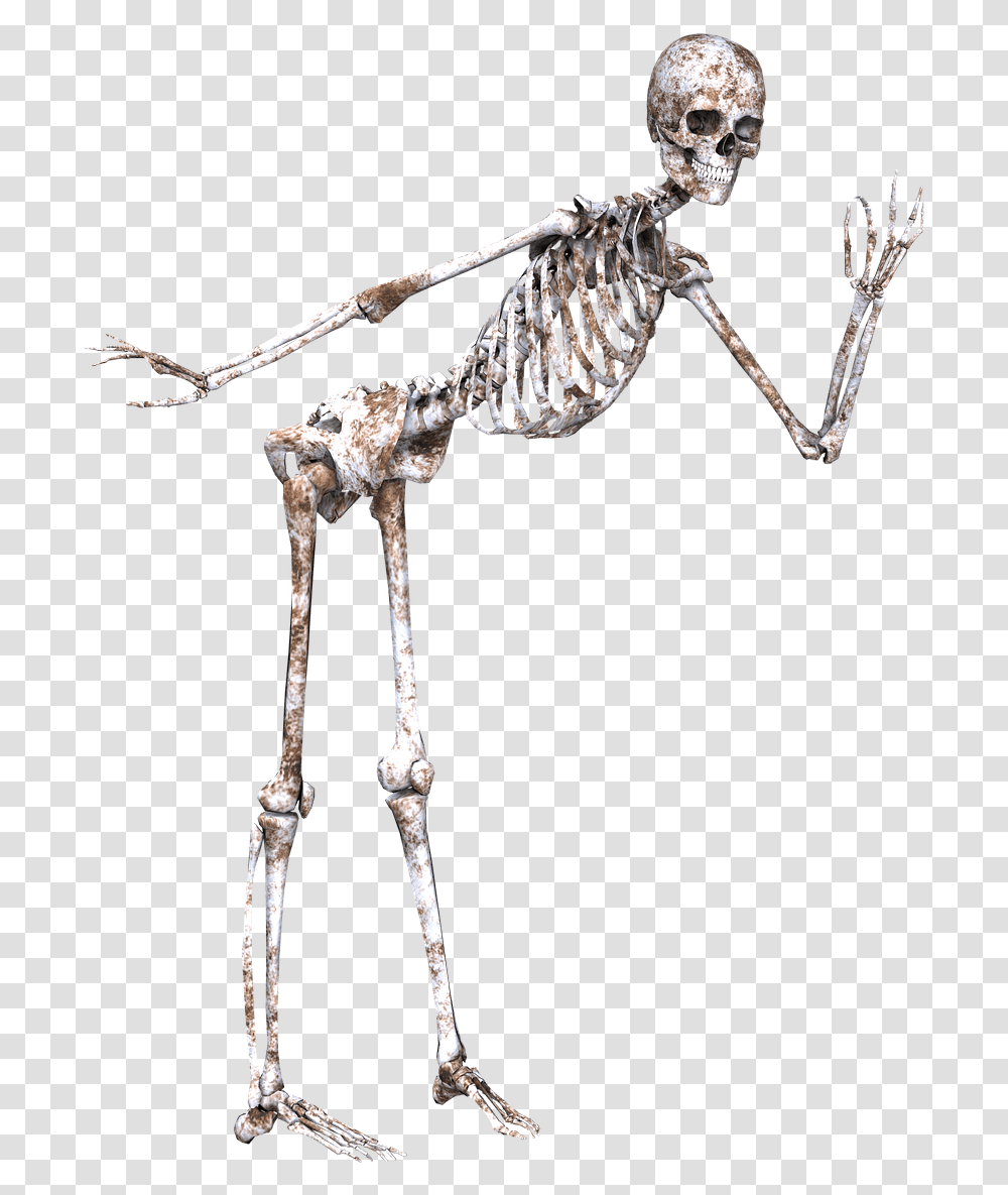 Skeleton Posing Clip Arts Skeleton, Accessories, Accessory, Jewelry Transparent Png