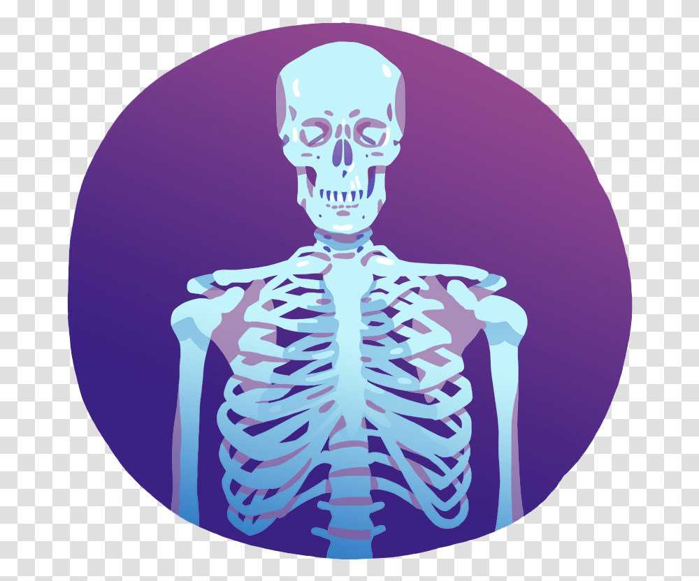 Skeleton, Purple, Person, Human, X-Ray Transparent Png