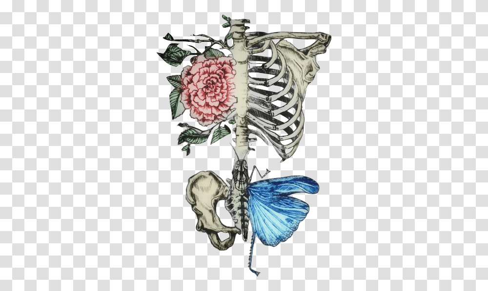 Skeleton Ribcage Roses Floral Bonewitch Humanbones Floral Rib Cage Skeleton Tattoo Transparent Png