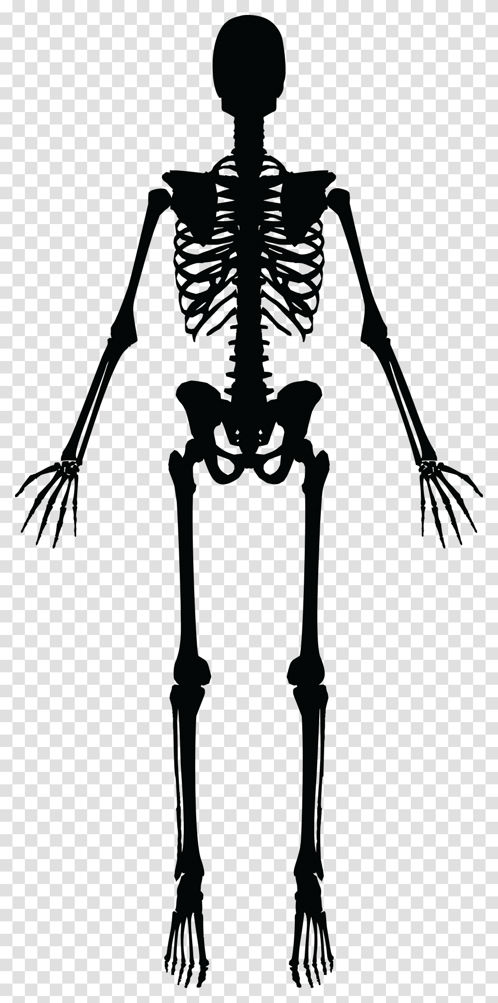 Skeleton Silhouette Skeleton Clipart Black And White, Person, Human, Alien Transparent Png
