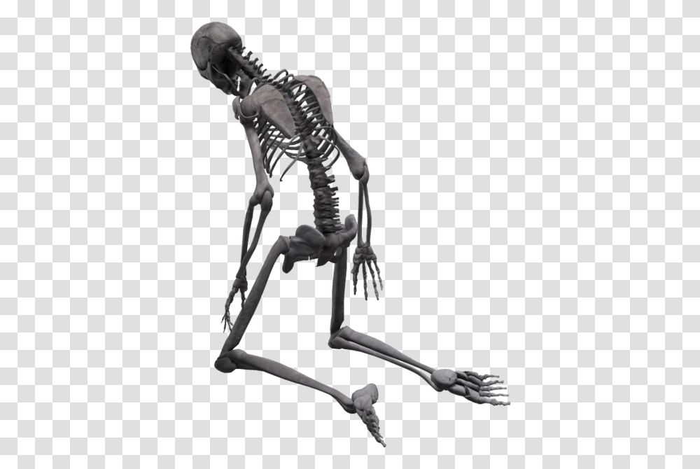 Skeleton Skeleton, Bow Transparent Png