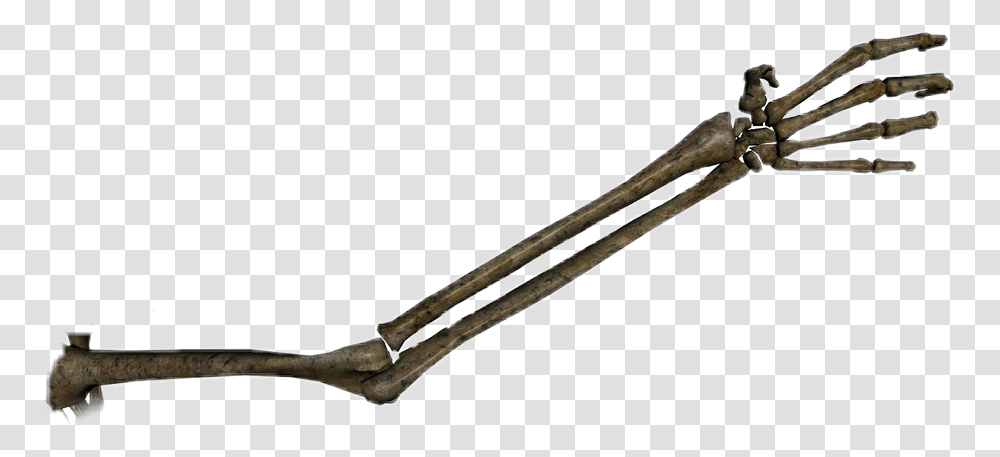 Skeleton Skeletonarm Arm Reaching Grabbing Grabyou Antique Tool, Sword, Blade, Weapon, Weaponry Transparent Png
