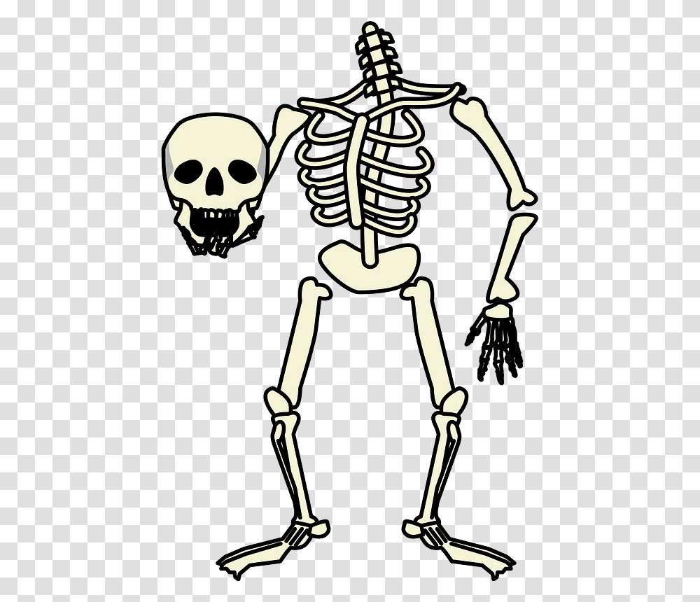 Skeleton Skull Clipart, Bow Transparent Png