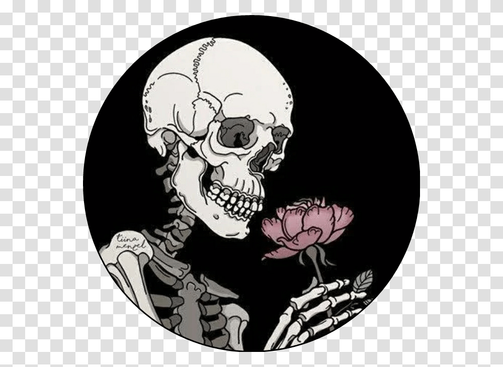 Skeleton Skull Rose Roses Skeletons Skulls Grunge Deathly Skeleton, Person, Human, Pirate, Jaw Transparent Png