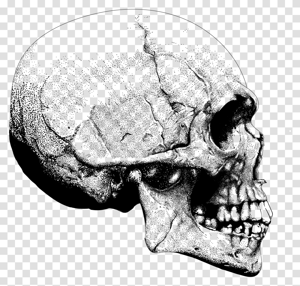 Skeleton Skull Side On, Helmet, Head, Person Transparent Png