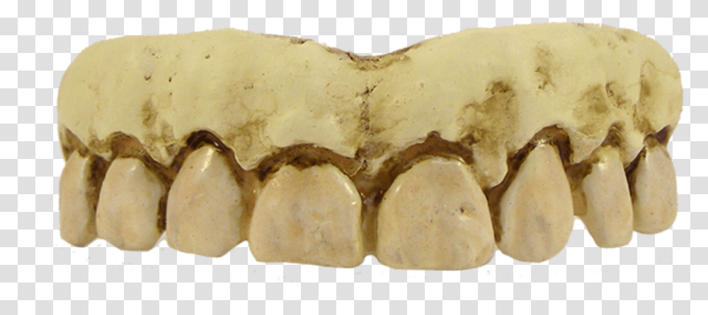 Skeleton Teeth Royalty Free Skeleton Teeth, Bread, Food, Fossil, Nut Transparent Png