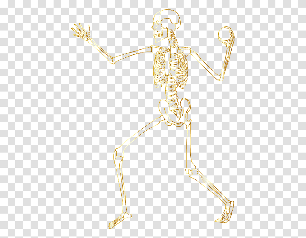 Skeleton Transparent Png