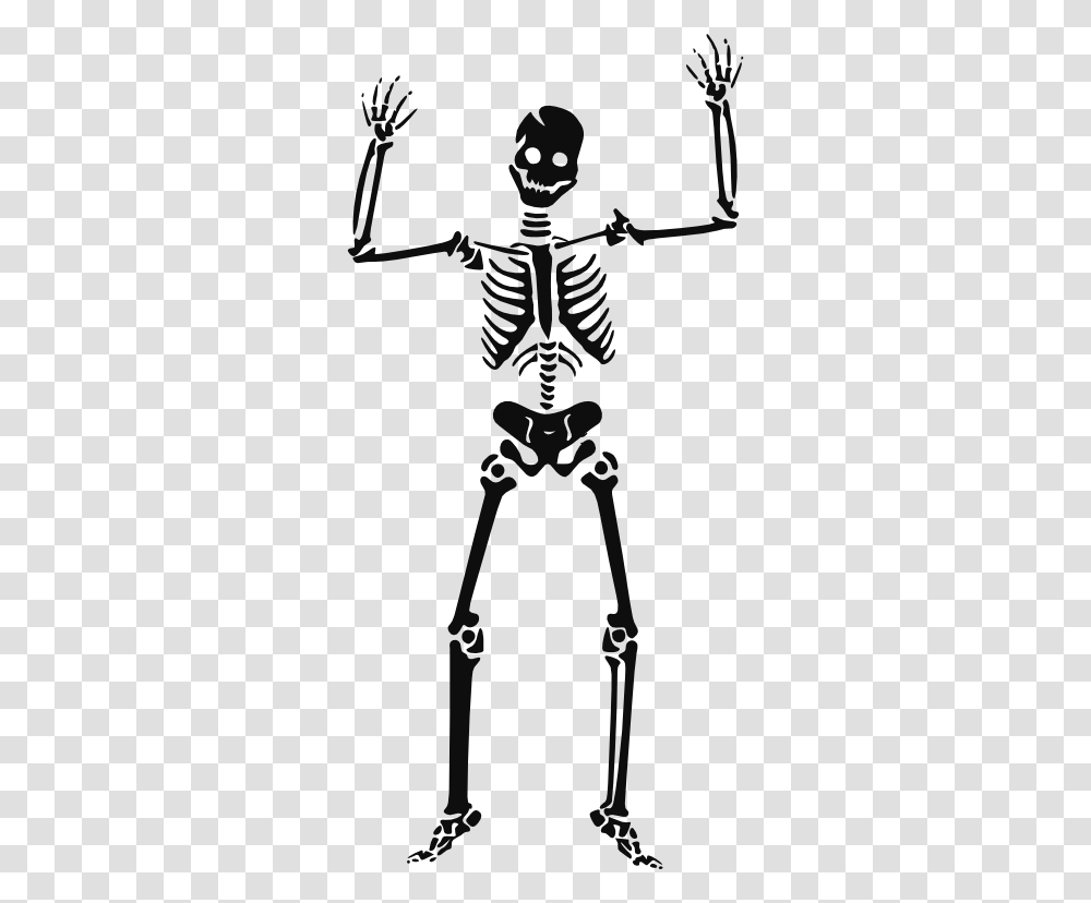 Skeleton Vector Transparent Png