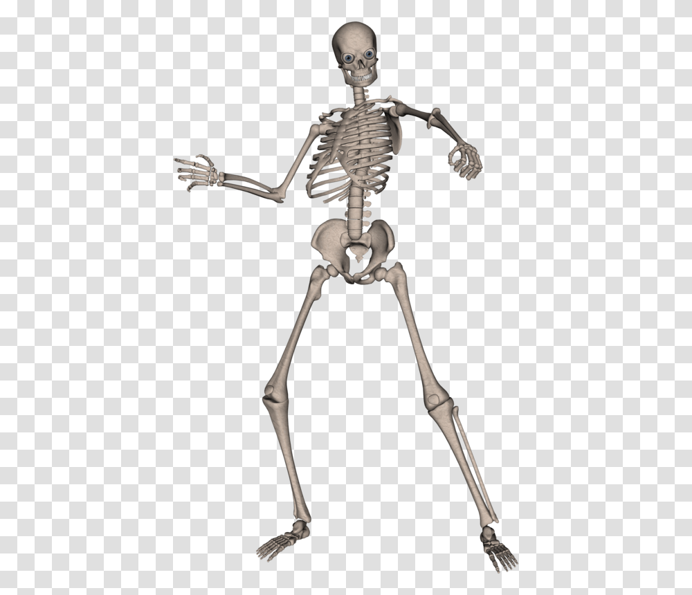 Skeletons, Bow, Person, Human Transparent Png
