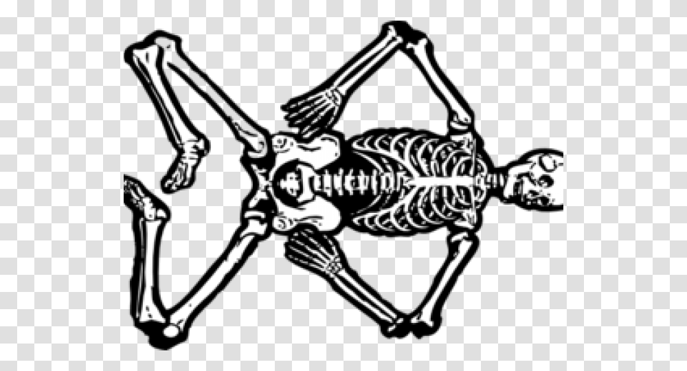 Skeletons Cliparts Skeleton Body Clip Art, Leisure Activities, Bow, Circus, Performer Transparent Png
