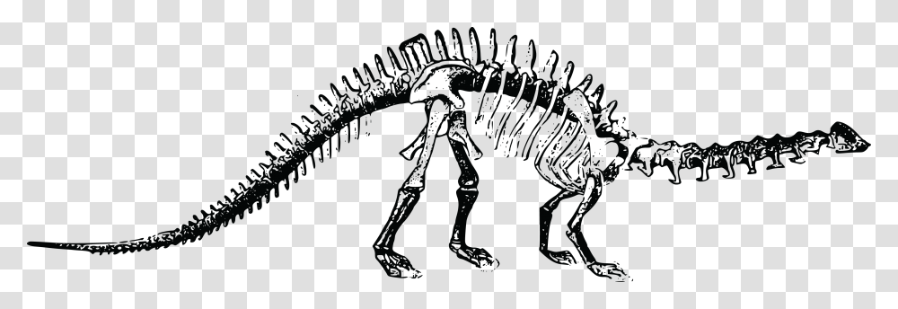 Skeletons Dinosaur Bones Background, Alien, Reptile, Animal Transparent Png
