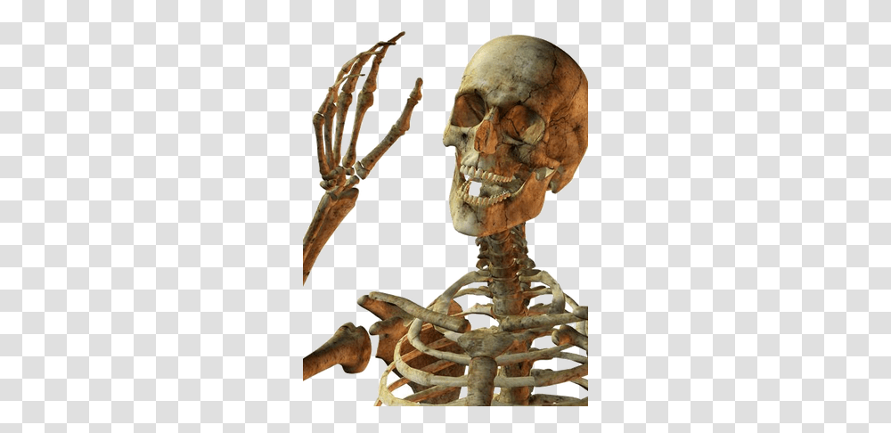 Skeletons Images Skeleton, Alien, Animal Transparent Png
