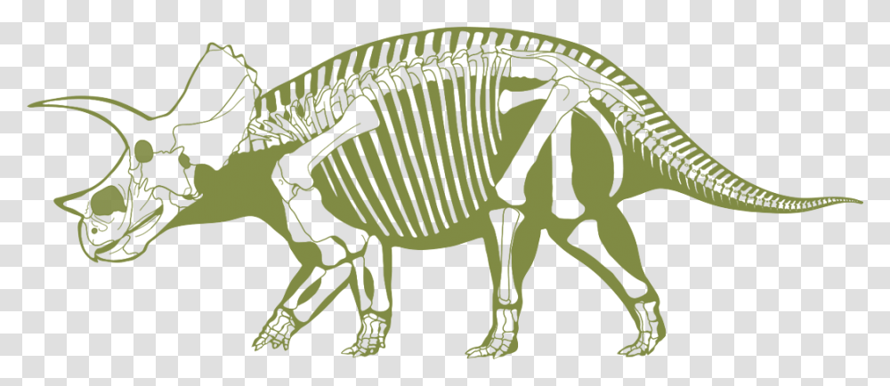 Skeliton Clipart Triceratops Dino Fossil Clip Art, Dinosaur, Reptile, Animal, Skeleton Transparent Png