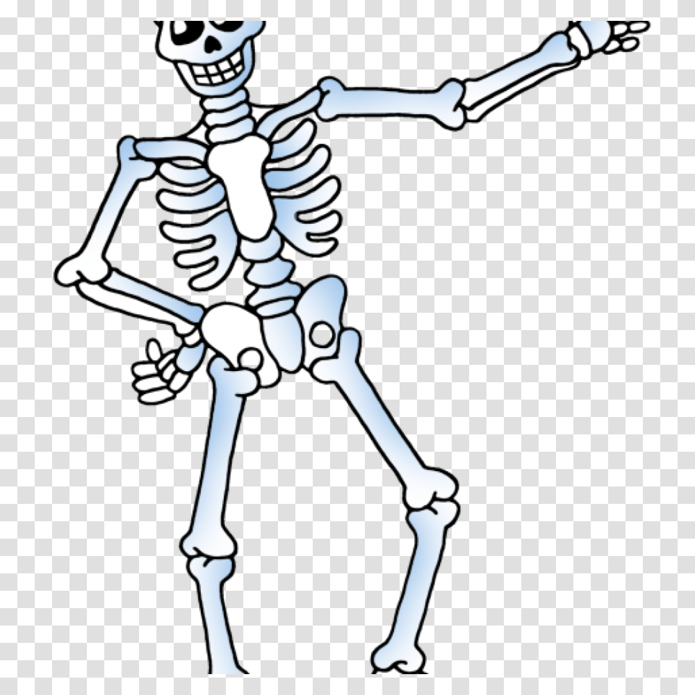 Skelton Clipart Free Clipart Download, Skeleton, Bow Transparent Png
