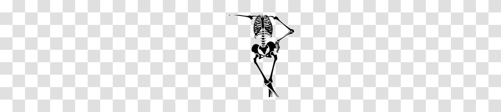 Skelton Clipart Halloween Skeleton Clipart Free Clipart Images, Bow Transparent Png