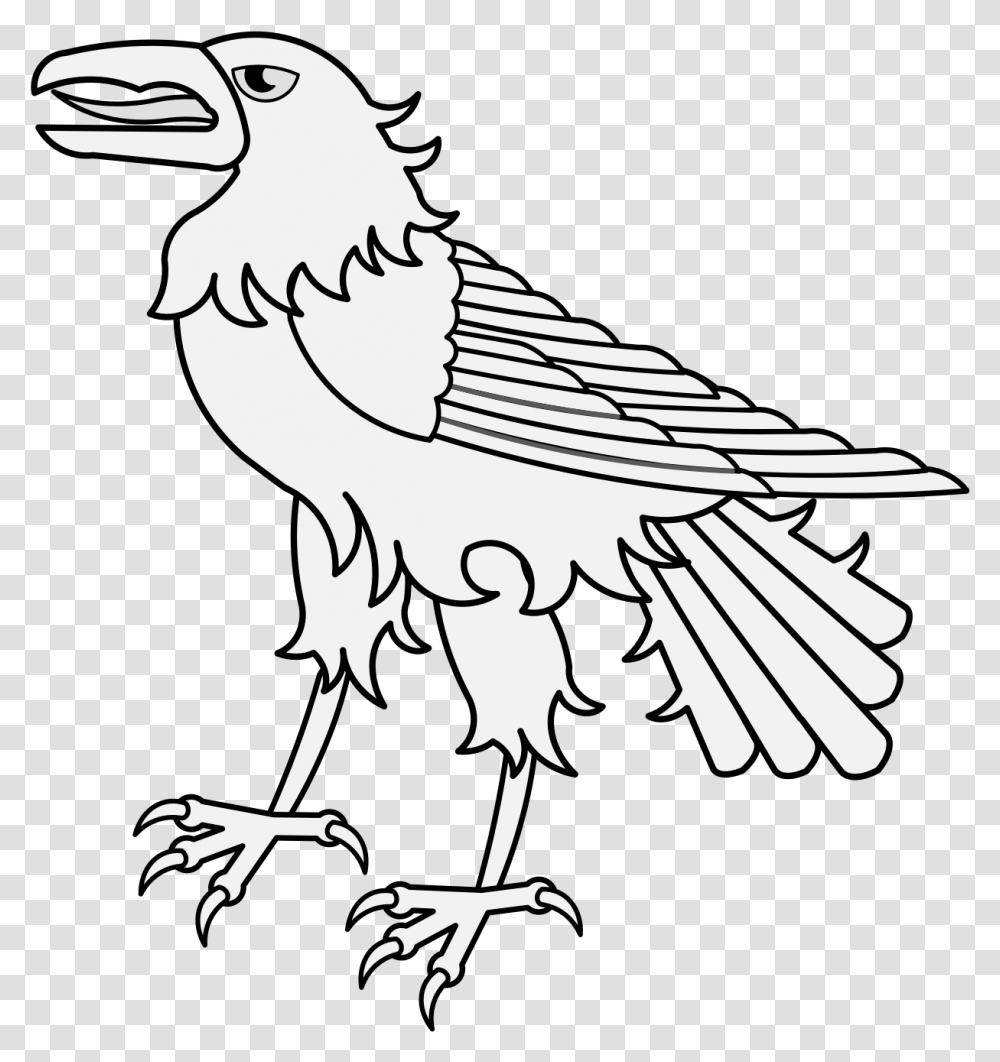 Sketch, Animal, Bird, Vulture, Beak Transparent Png